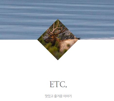태상의 미니샵: 생활 정보 사이트의 새로운 기준